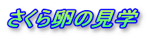 �����痑�̌��w