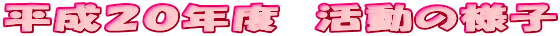 �����Q�O�N�x�@�����̗l�q
