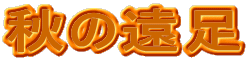 �H�̉���