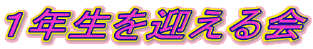 �P�N�����}�����