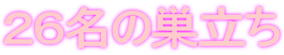 �Q�U���̑�����
