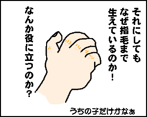 4koma.gif (5147 oCg)