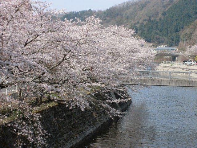 画像の説明