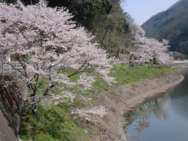 画像の説明