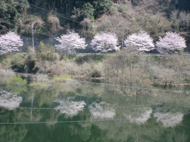 画像の説明