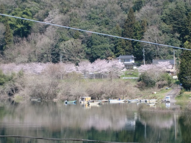 画像の説明